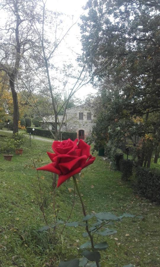 Agriturismo Il Cornalino Castel Viscardo Zewnętrze zdjęcie
