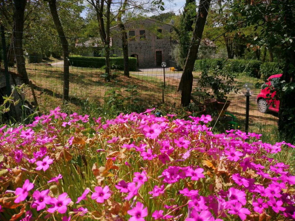 Agriturismo Il Cornalino Castel Viscardo Zewnętrze zdjęcie