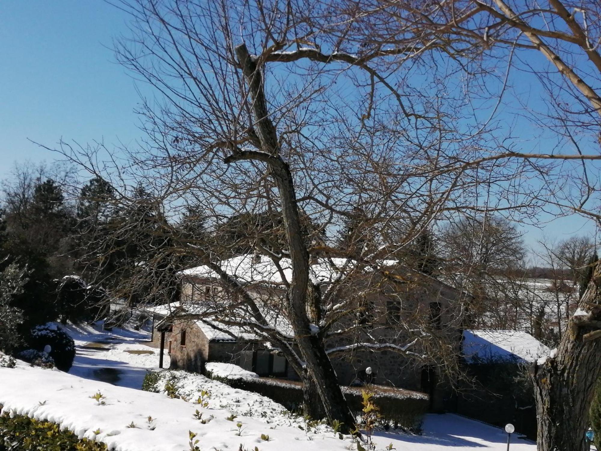 Agriturismo Il Cornalino Castel Viscardo Zewnętrze zdjęcie