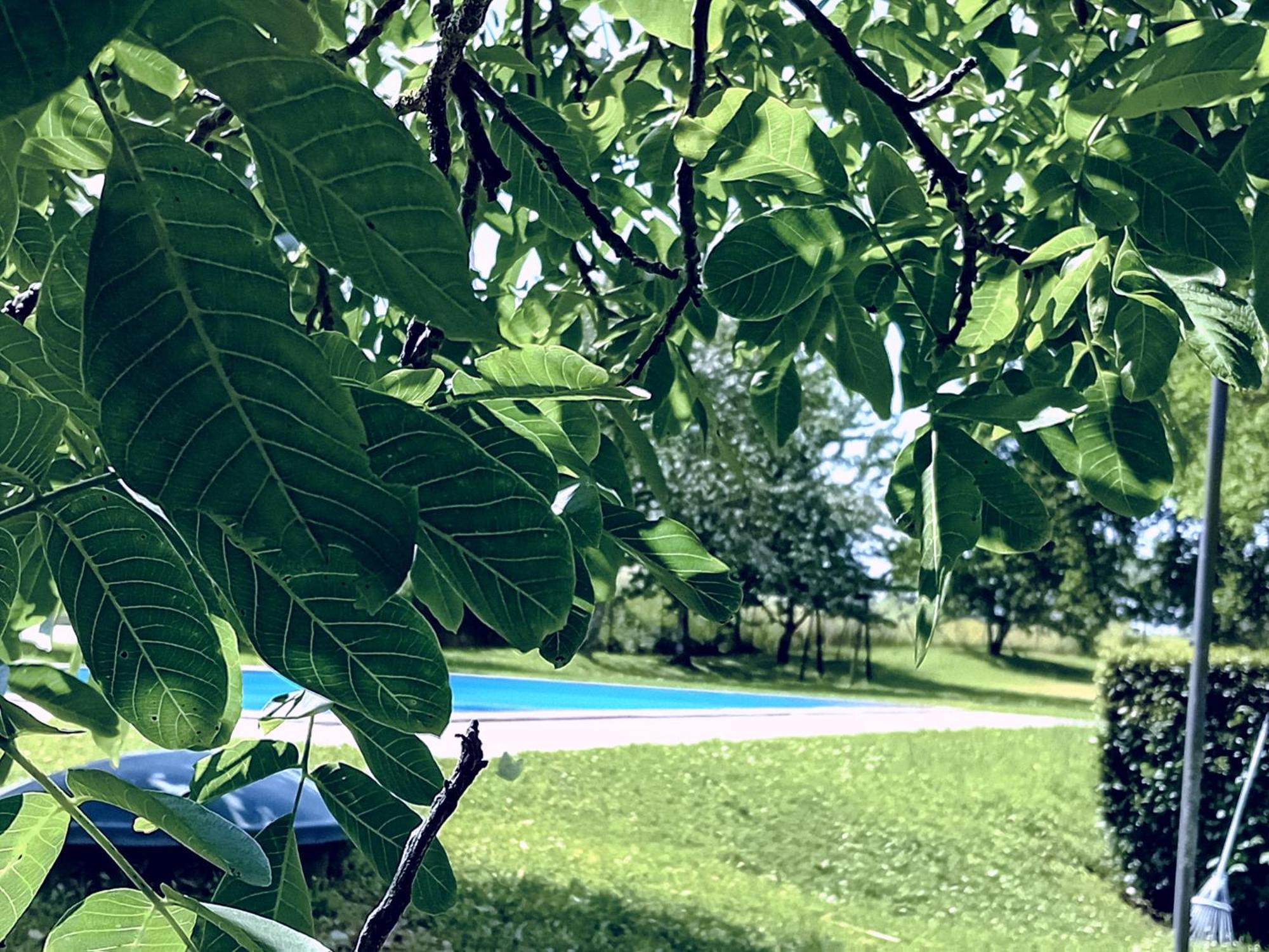 Agriturismo Il Cornalino Castel Viscardo Zewnętrze zdjęcie