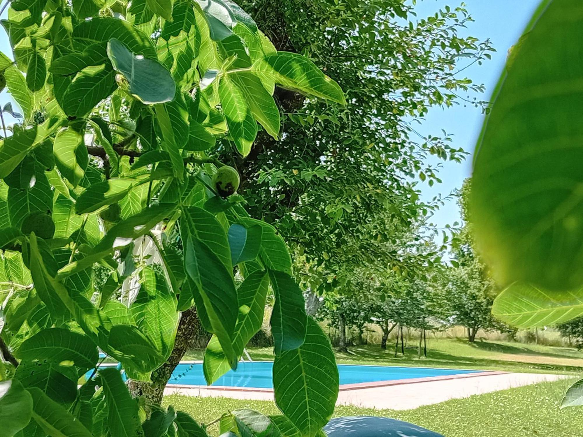 Agriturismo Il Cornalino Castel Viscardo Zewnętrze zdjęcie