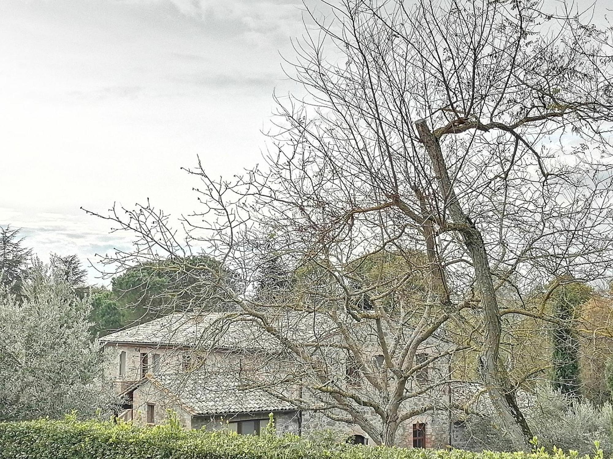 Agriturismo Il Cornalino Castel Viscardo Zewnętrze zdjęcie