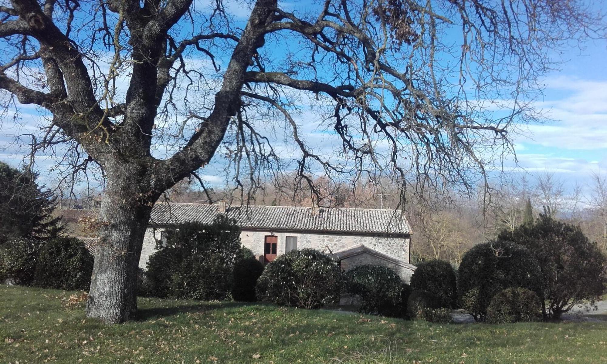 Agriturismo Il Cornalino Castel Viscardo Zewnętrze zdjęcie