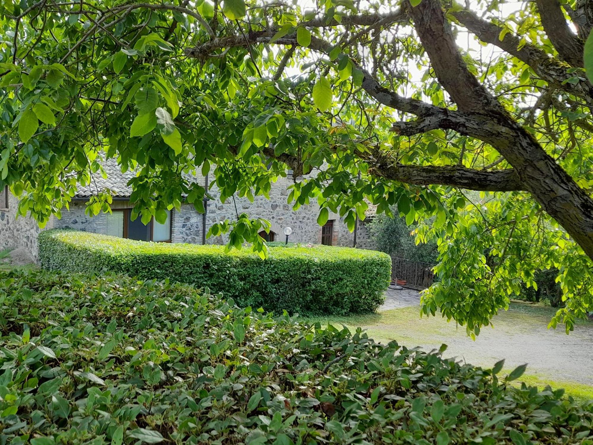 Agriturismo Il Cornalino Castel Viscardo Zewnętrze zdjęcie