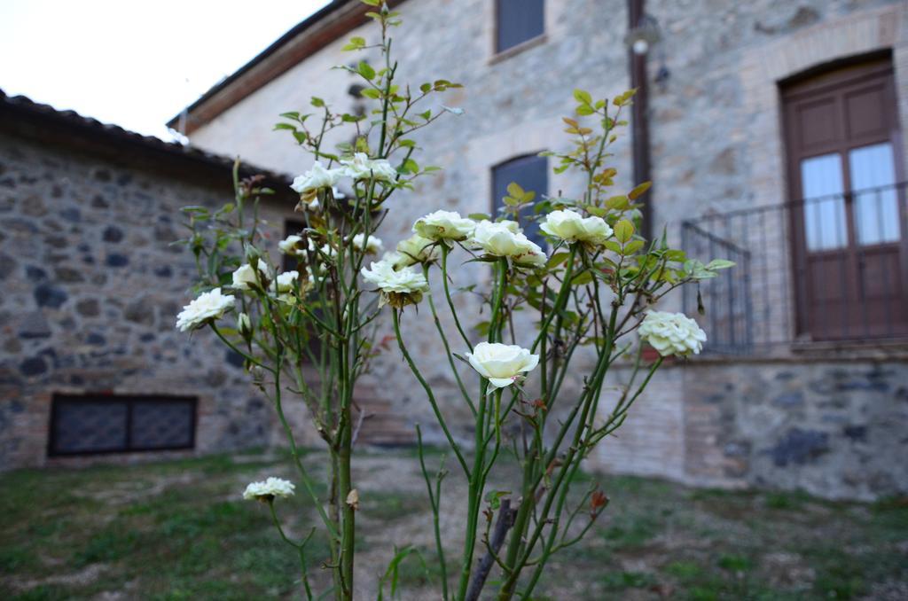 Agriturismo Il Cornalino Castel Viscardo Zewnętrze zdjęcie