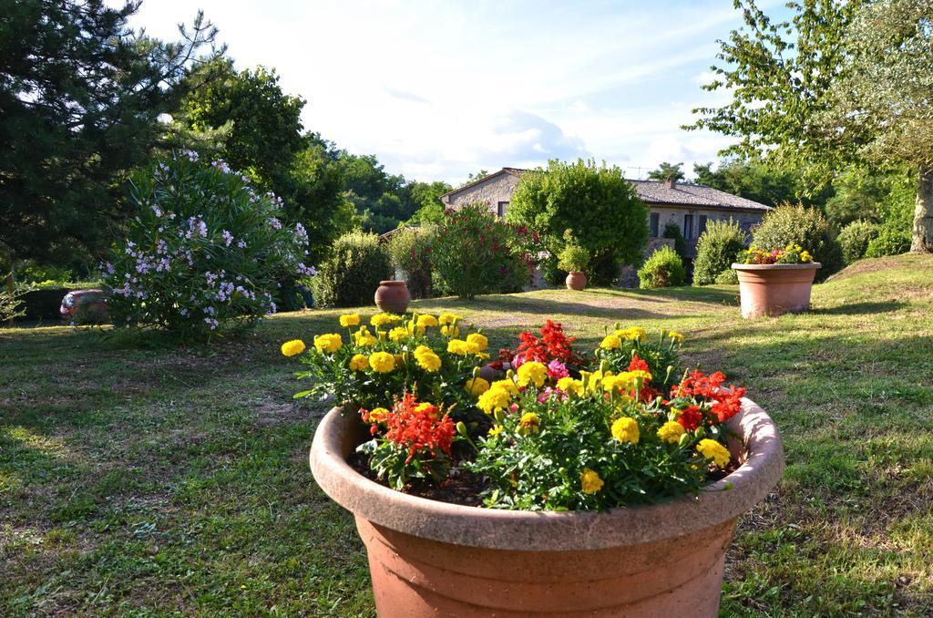 Agriturismo Il Cornalino Castel Viscardo Zewnętrze zdjęcie
